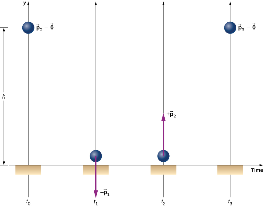 A ball is shown at four different times. At t sub 0 the ball is at a distance h above the floor and has p sub 0 equals 0. At t sub 1 the ball is near the floor. A downward arrow at the ball is labeled minus p sub 1. At t sub 2 the ball is near the floor. An upward arrow at the ball is labeled plus p sub 2. The p sub 1 and p sub 2 arrows are the same length. At t sub 3 the ball at height h again and p sub 3 equals zero.