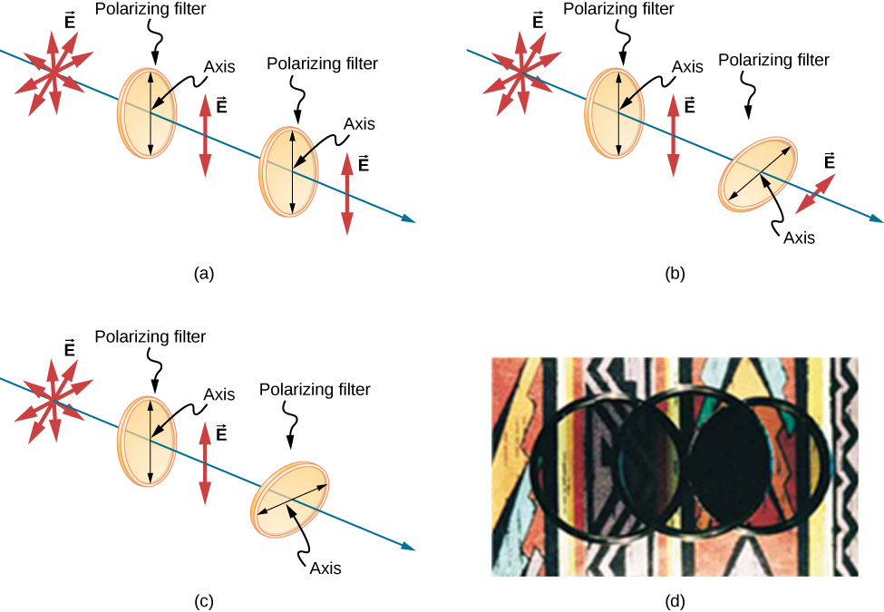 This figure shows three illustrations of randomly polarized light passing through two polarizing filters, one after the other, in various orientations. In figure a, the two filters have axes oriented parallel to each other, in b the axis of the second filter is at an intermediate angle, between zero and ninety degrees, to the first’s, and in c the axis of the second filter is perpendicular to the first’s. Figure d is a photograph of the actual result of the first (parallel) and last (perpendicular) arrangements. In all the arrangements, the source light is randomly polarized, indicated by vector E arrows pointing in every direction in a plane perpendicular to the direction of propagation of the ray. In all the arrangements, the light that passed through the first filter, whose axis is oriented vertically, is vertically polarized, indicated by E vector arrows that only point vertically up and down. In figure a, all of the polarized light is passed by the second polarizing filter,  whose axis is parallel to the first, and is still vertically polarized. In figure b, only some of the light is passed by the second polarizing filter,  whose axis is tilted relative to the first. The light that passed the second filter is polarized in the direction of the second filter’s axis, and the magnitude of E is reduced. In figure c, where the filter axes are perpendicular to each other, none of the light passes through the second filter. Figure c shows a photo of three circular optical filters placed over a bright colorful pattern. Two of these filters are place next to each other and the third is placed on top of the other two so that the center of the third is at the point where the edges of the two filters underneath touch. Some light passes through where the upper filter overlaps the left-hand underneath filter. No light passes through where the upper filter overlaps the right-hand lower filter.